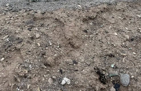 انواع آزمایش خاک